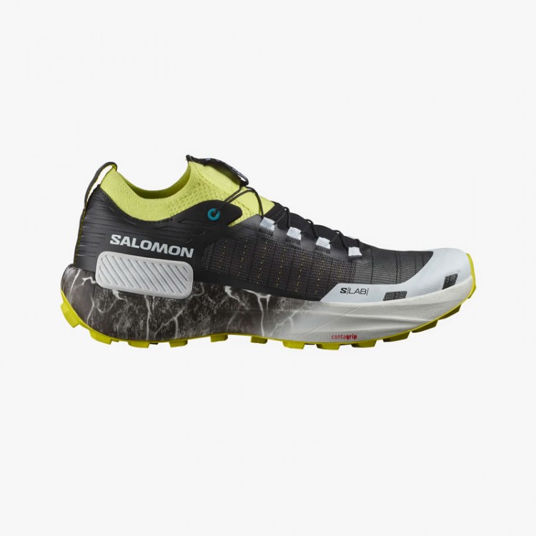 SALOMON S/LAB GENESIS LTD COURTNEY