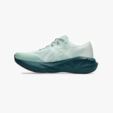 ASICS NOVABLAST 5 NATURE BATHING/LICHEN ROCK