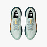 ASICS NOVABLAST 5 NATURE BATHING/LICHEN ROCK