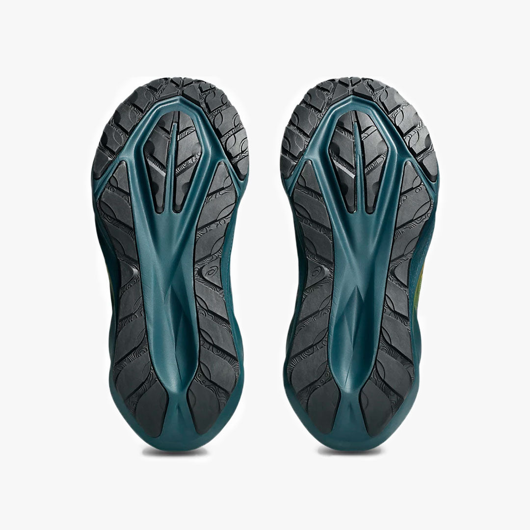 ASICS NOVABLAST 5 NATURE BATHING/LICHEN ROCK