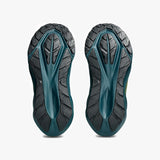 ASICS NOVABLAST 5 NATURE BATHING/LICHEN ROCK