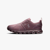 On Cloud 6 Waterproof W Gobi