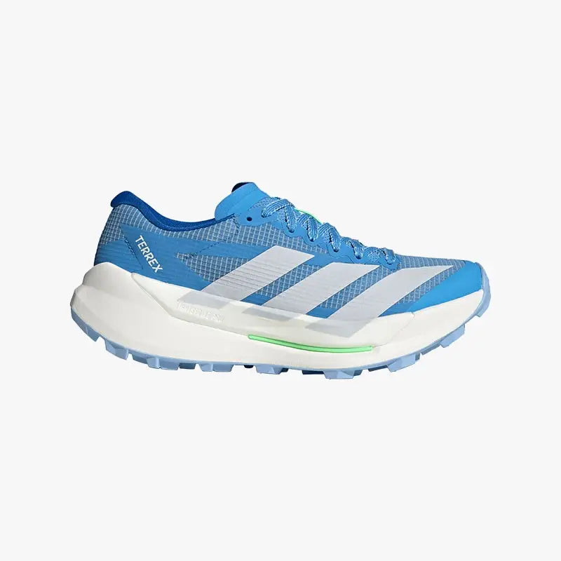 Adidas Terrex Agravic TT W Blue/White