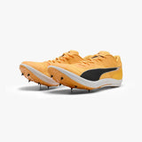 PUMA evoSPEED LONG DISTANCE SUN STREAM