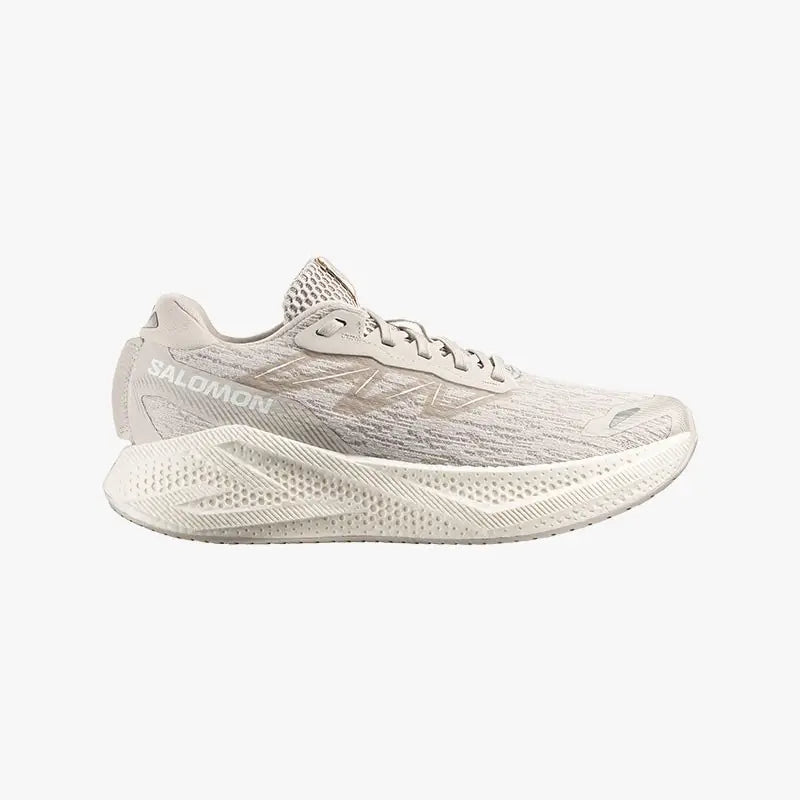 SALOMON AERO GLIDE 4 SILVER/CLEAR