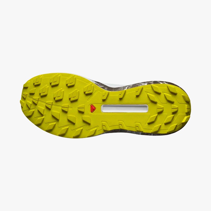 SALOMON S/LAB GENESIS LTD COURTNEY