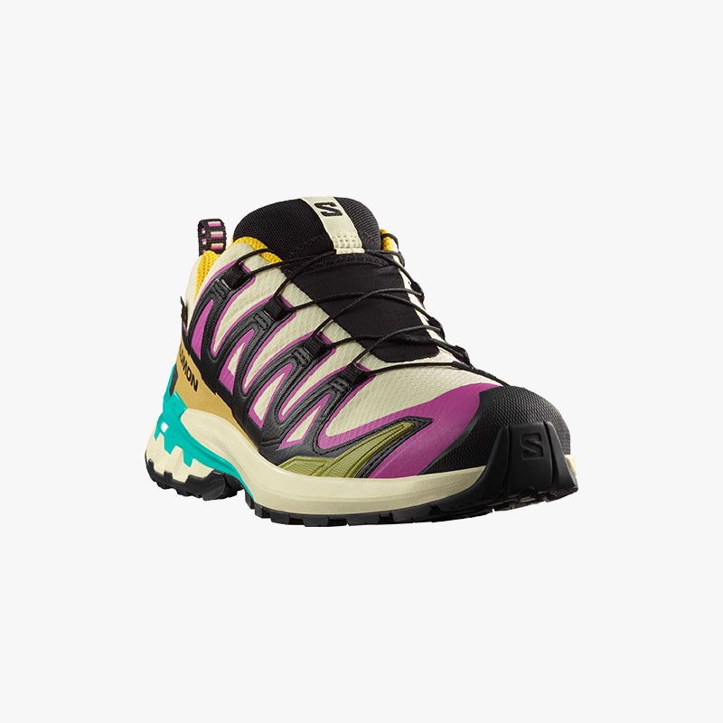 SALOMON XA PRO 3D V9 GTX W TYELLO/BLACK